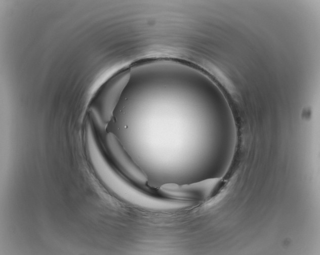 X0000091940885200709051520