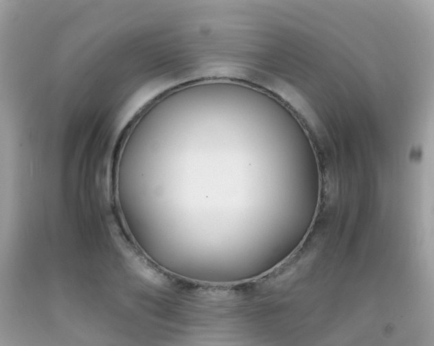 X0000091940886200709051520