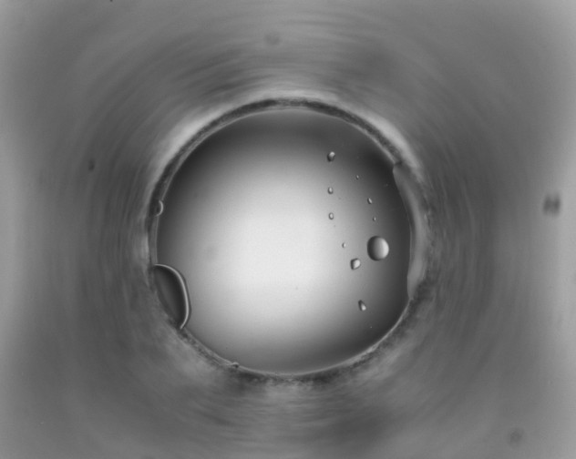 X0000091940887200709051520