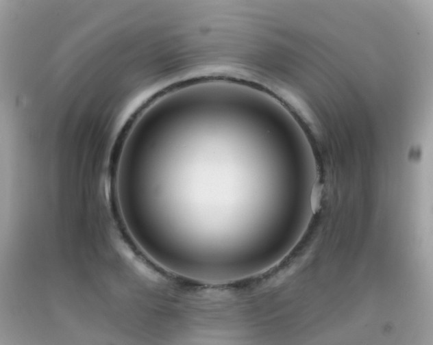 X0000091940888200709051520