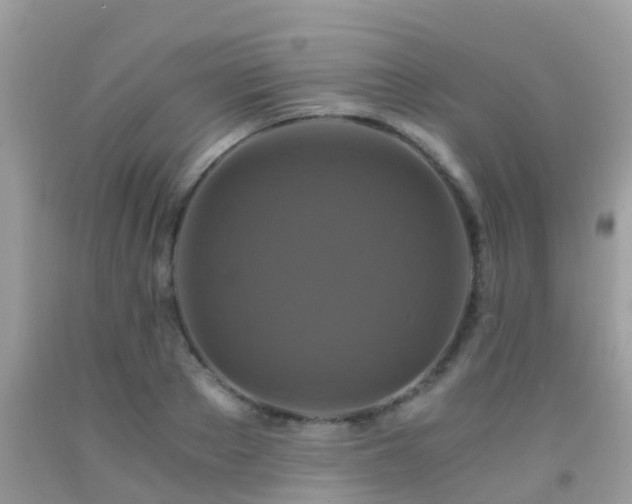 X0000091940889200709051520