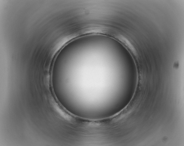 X0000091940890200709051520