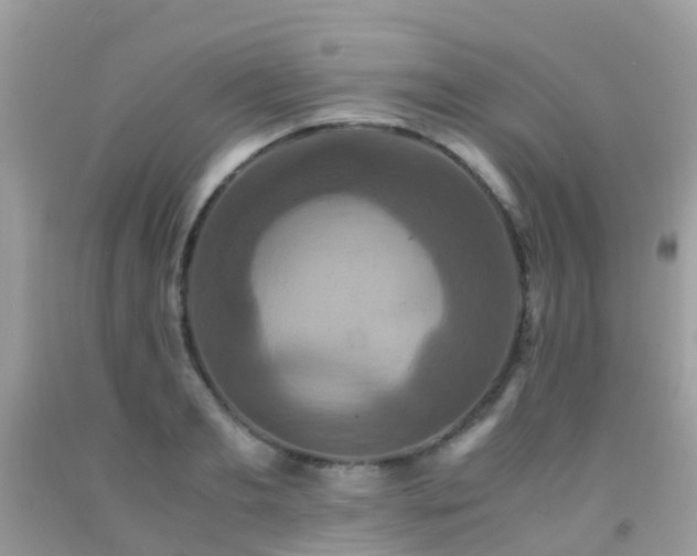 X0000091940893200709051520