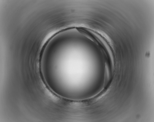 X0000091940894200709051520