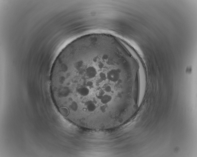 X0000091940895200709051520