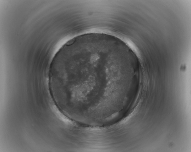 X0000091940896200709051520