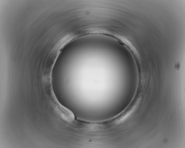 X0000091940897200709051520