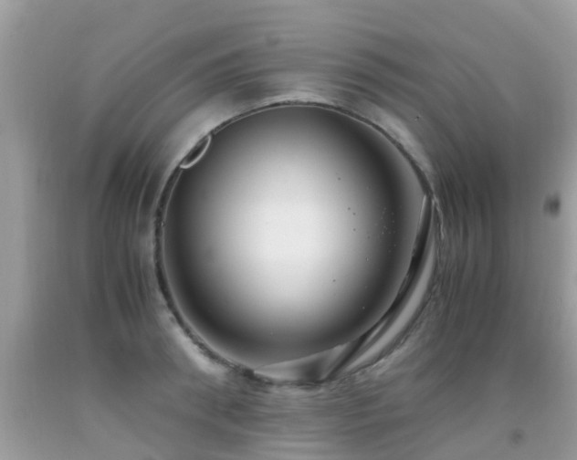 X0000091940898200709051520