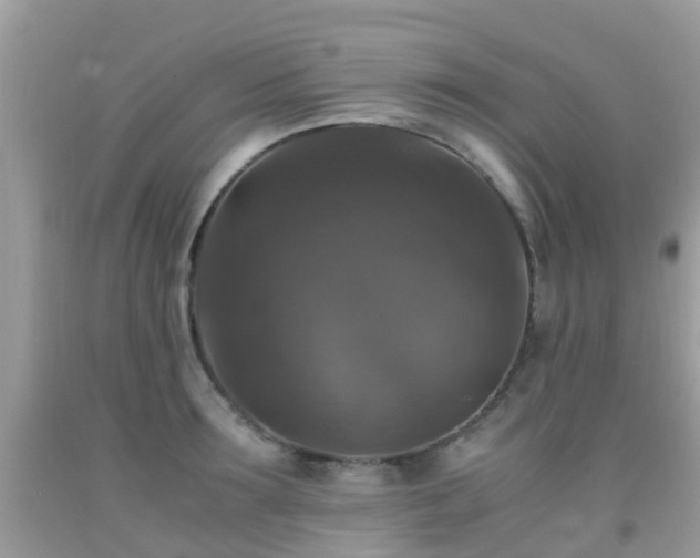 X0000091940899200709051520