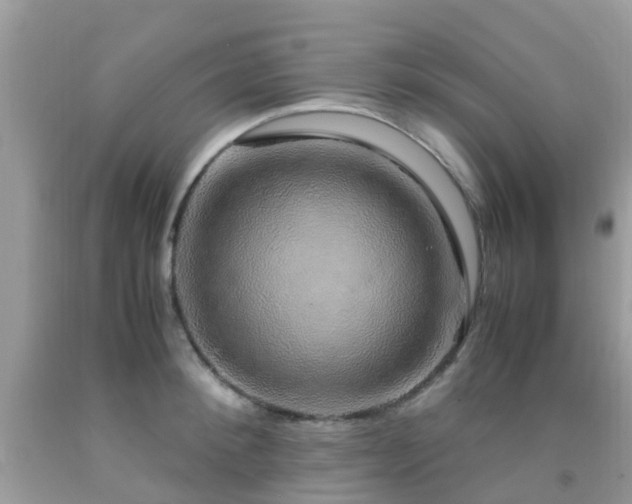 X0000091940900200709051520