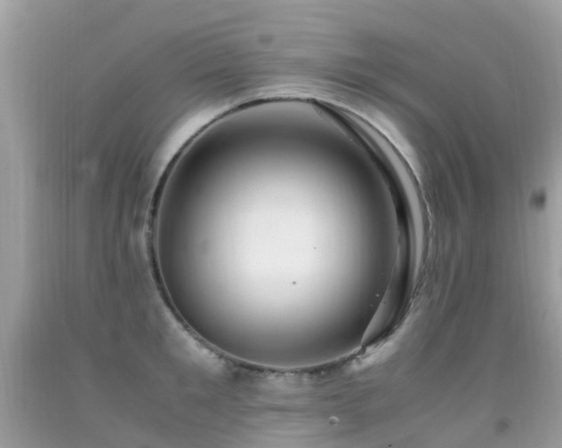 X0000091940901200709051520