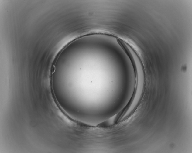 X0000091940902200709051520