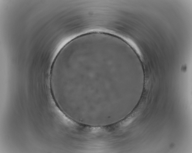 X0000091940903200709051520