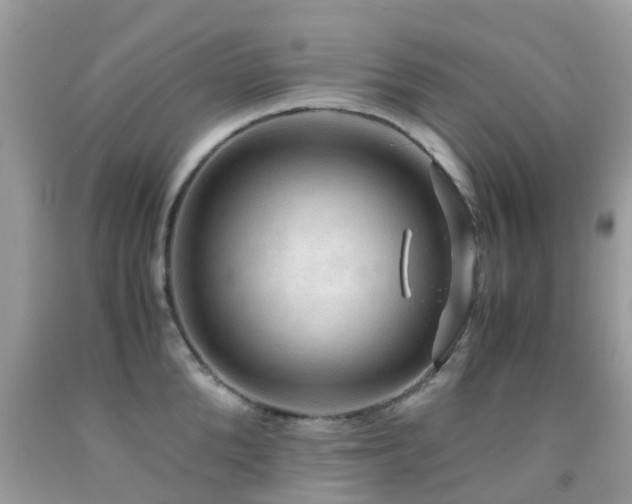 X0000091940904200709051520