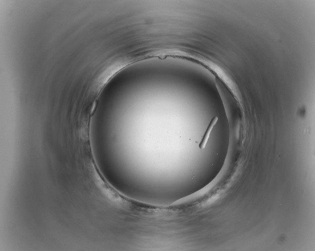 X0000091940905200709051520