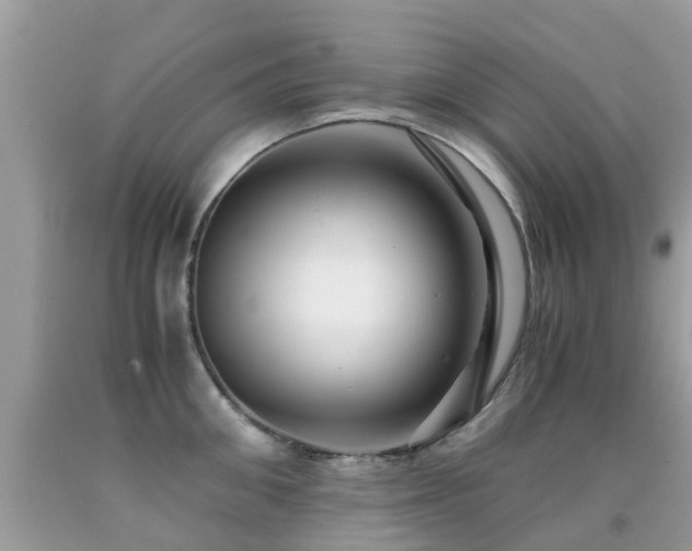 X0000091940906200709051520