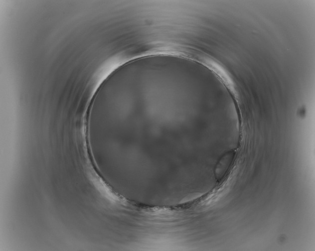 X0000091940907200709051520