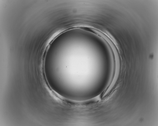 X0000091940909200709051520