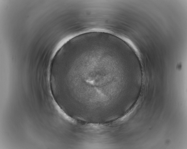 X0000091940910200709051520