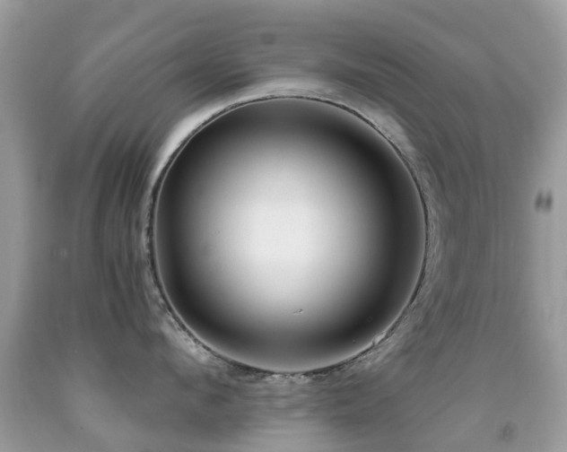 X0000091940912200709051520