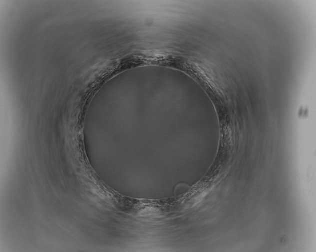 X0000091940913200709051519