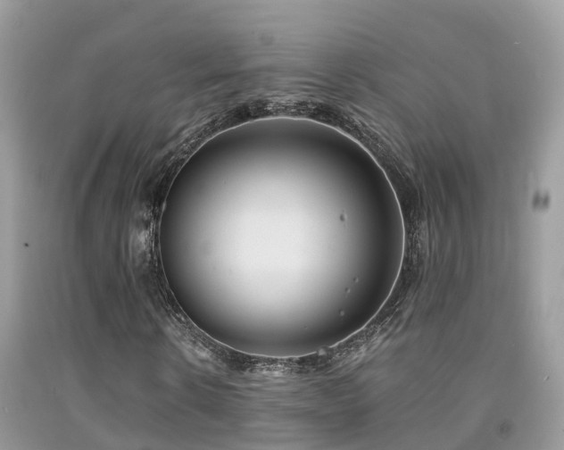 X0000091940914200709051519