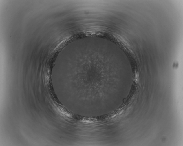 X0000091940915200709051519