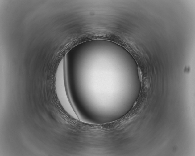 X0000091940916200709051519