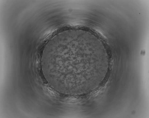 X0000091940917200709051519