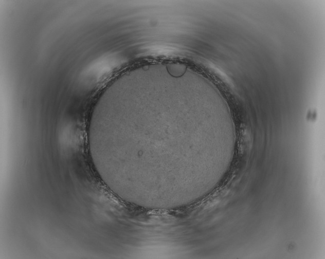 X0000091940918200709051519