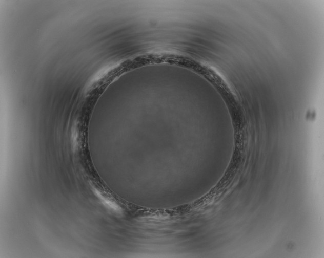 X0000091940919200709051519