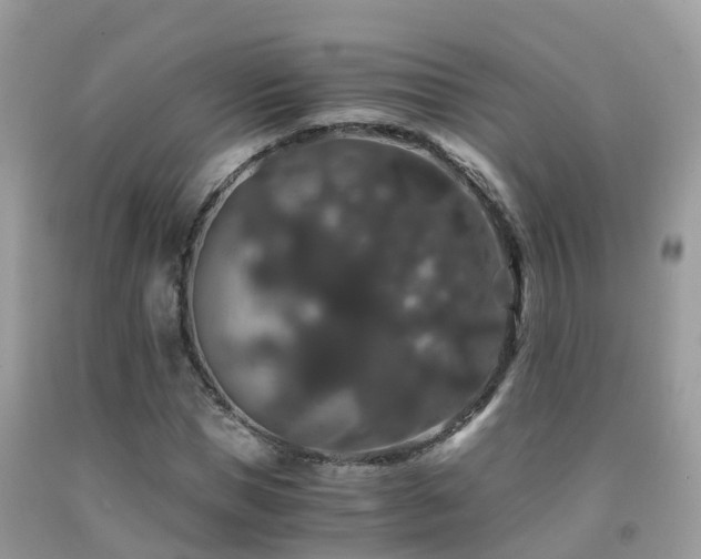 X0000091940921200709051519