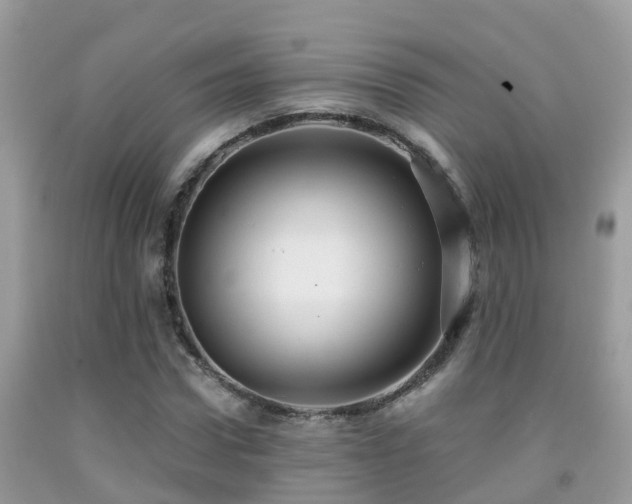 X0000091940922200709051519