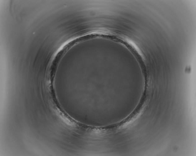 X0000091940923200709051519