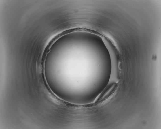 X0000091940924200709051519