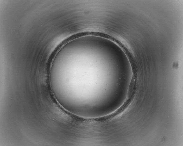 X0000091940926200709051519