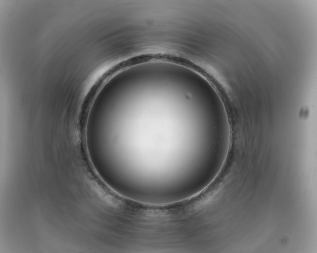 X0000091940927200709051519