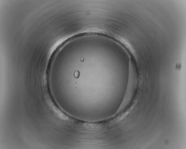 X0000091940928200709051519