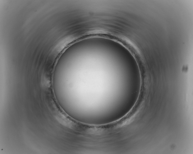 X0000091940929200709051519