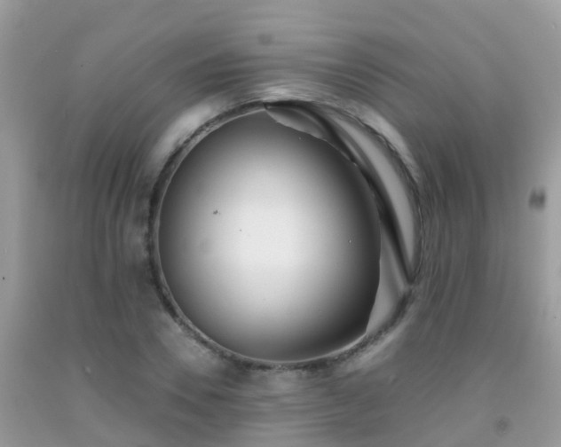 X0000091940930200709051519