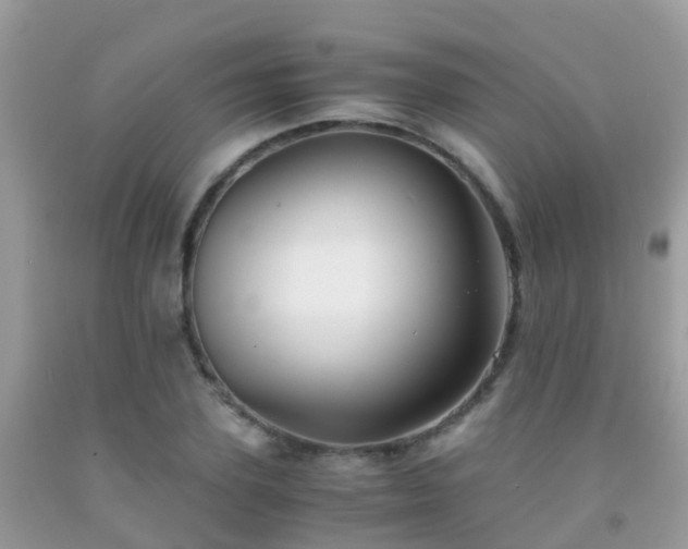 X0000091940931200709051519