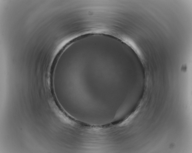 X0000091940932200709051519