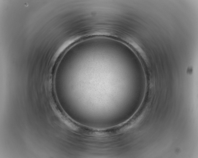 X0000091940933200709051519