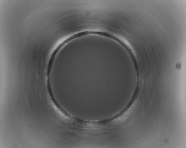 X0000091940935200709051519