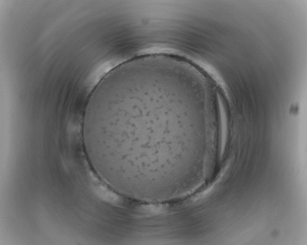 X0000091940937200709051519