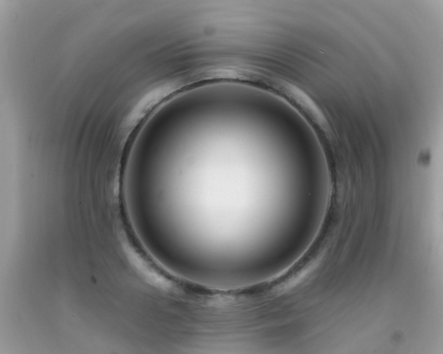 X0000091940938200709051519