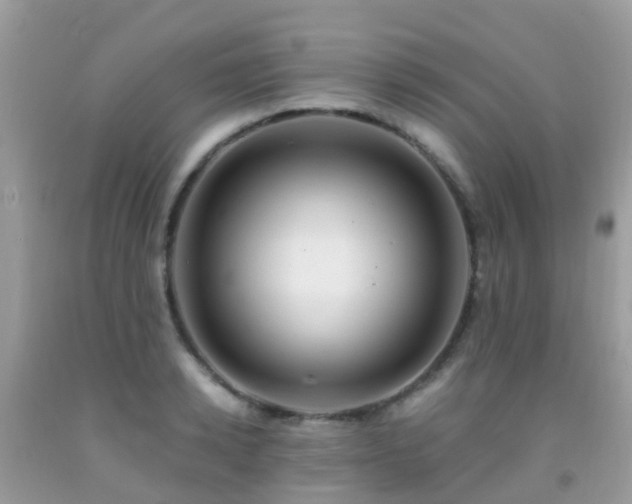 X0000091940942200709051519