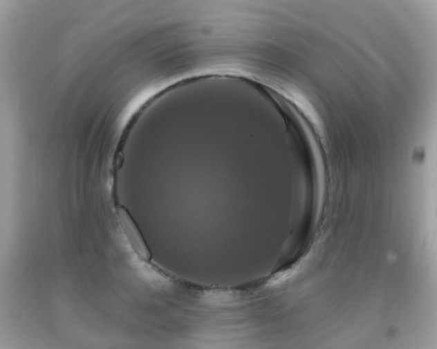 X0000091940944200709051520