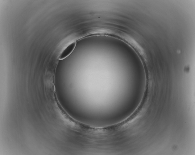 X0000091940945200709051520