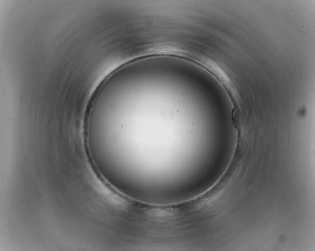 X0000091940947200709051520